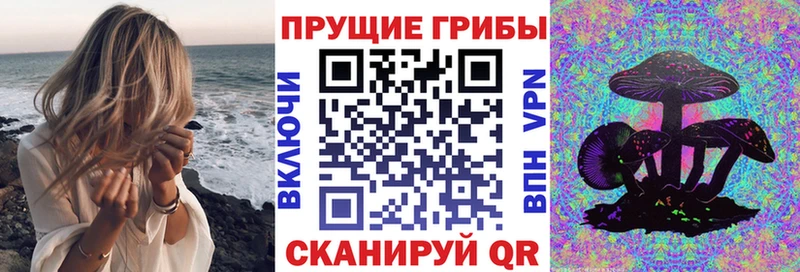 Псилоцибиновые грибы мицелий  Купить где  Пересвет 
